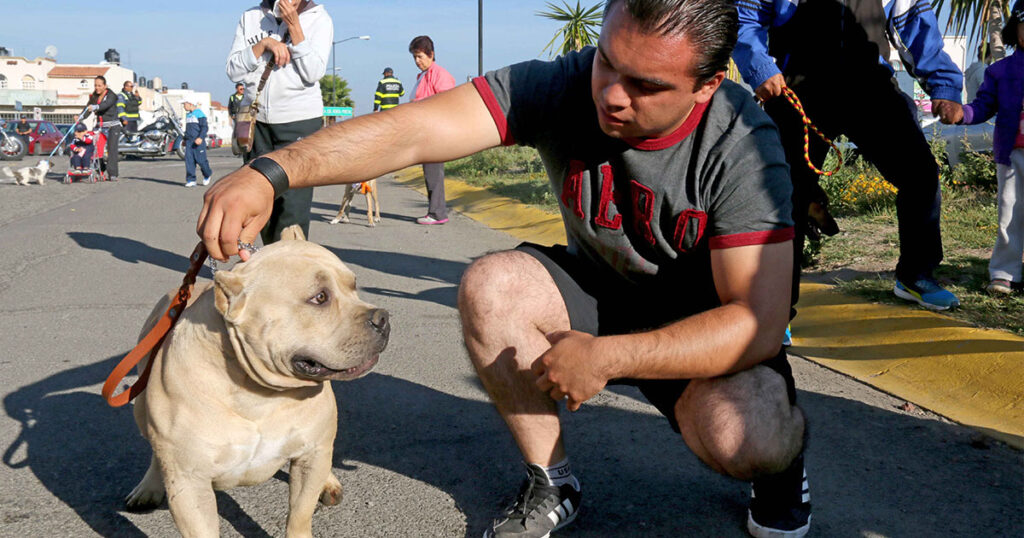 Invita la SSH a prevenir mordeduras de animales