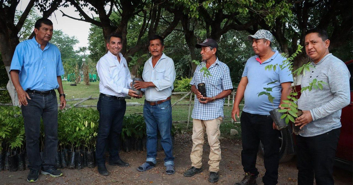 Alcalde de Huejutla lanza campaña de reforestación con donación de árboles