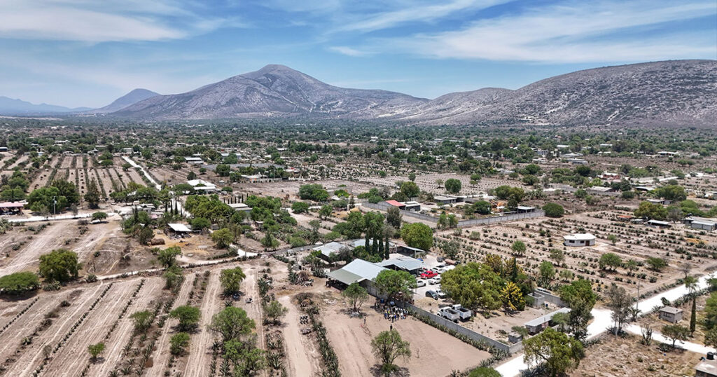 SADERH da seguimiento a parcelas demostrativas de maguey con lluvia sólida en El Cardonal