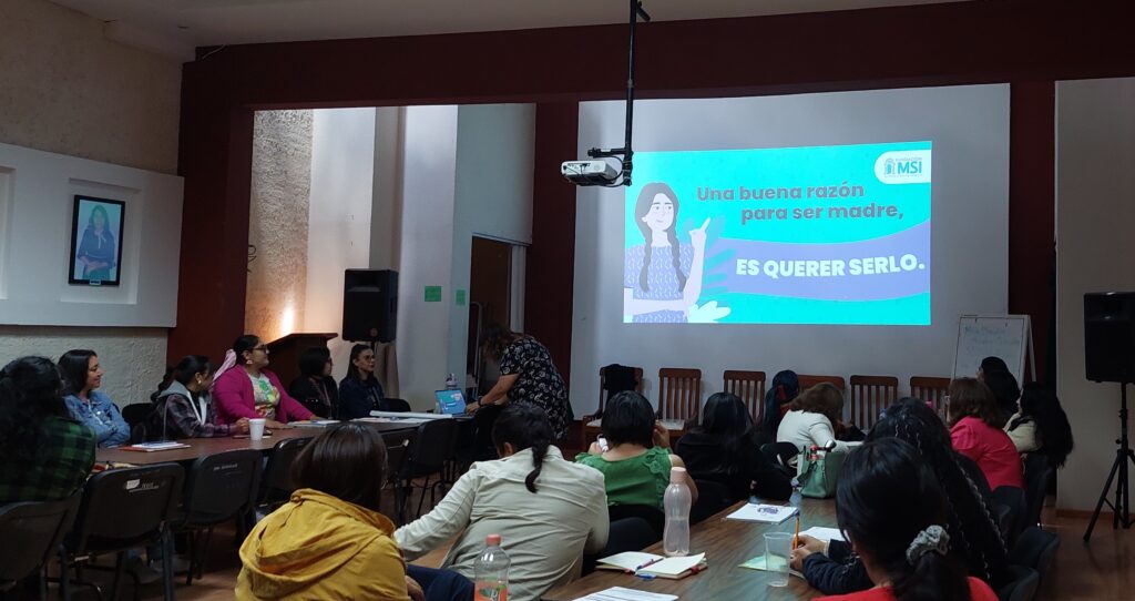 IHM y Fundación MSI imparten taller “Maternidades Elegidas”