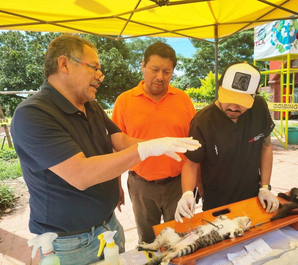 Exitosa campaña de esterilización en Huautla; 60 mascotas fueron atendidas