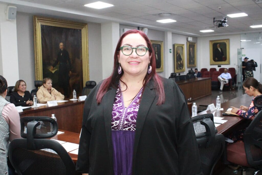 Hombres deben participar en tareas del hogar y cuidados: Tania Meza