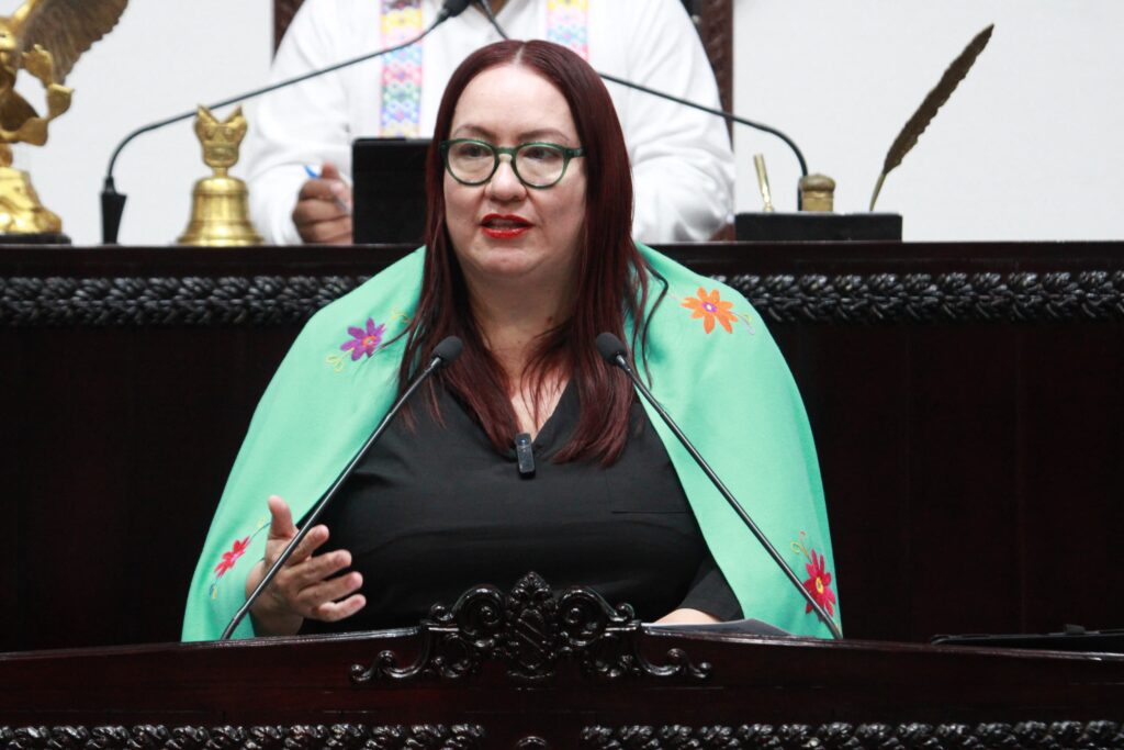 Presenta Tania Meza iniciativa para garantizar trato integro, digno y humano a mujeres con pérdida fetal o perinatal