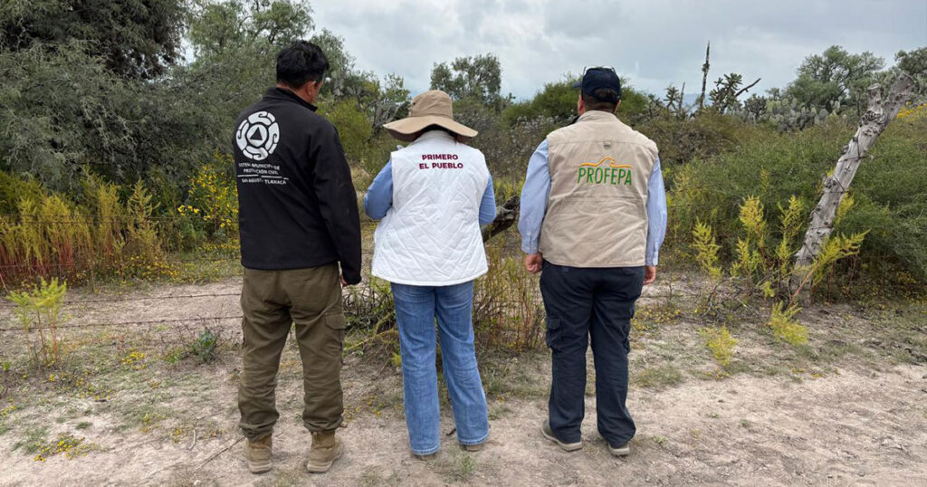 Semarnath activa protocolo de conservación tras reporte de avistamiento de felino silvestre en San Agustín Tlaxiaca