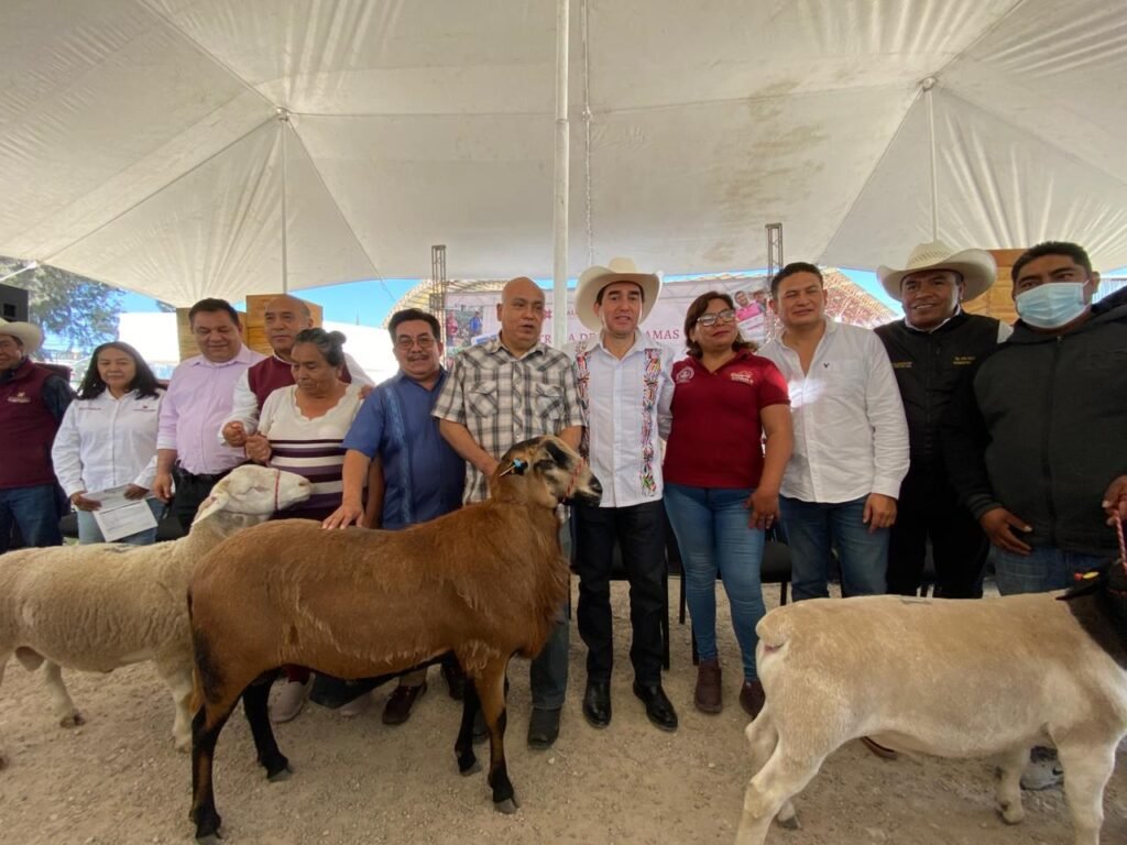 SADERH REFUERZA LA APICULTURA Y ENTREGA SEMENTALES OVINOS PARA IMPULSAR EL CAMPO EN ZIMAPÁN
