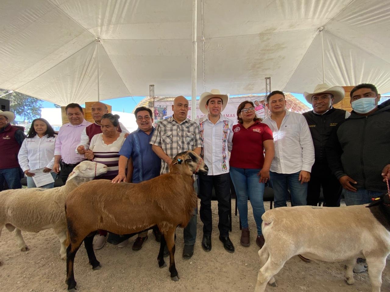 SADERH REFUERZA LA APICULTURA Y ENTREGA SEMENTALES OVINOS PARA IMPULSAR EL CAMPO EN ZIMAPÁN