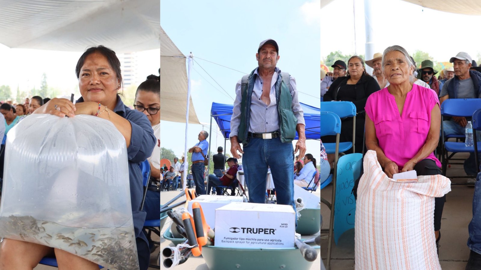 Hidalgo fortalece su liderazgo acuícola con entrega de 900 mil crías de peces y apoyos para 744 productores