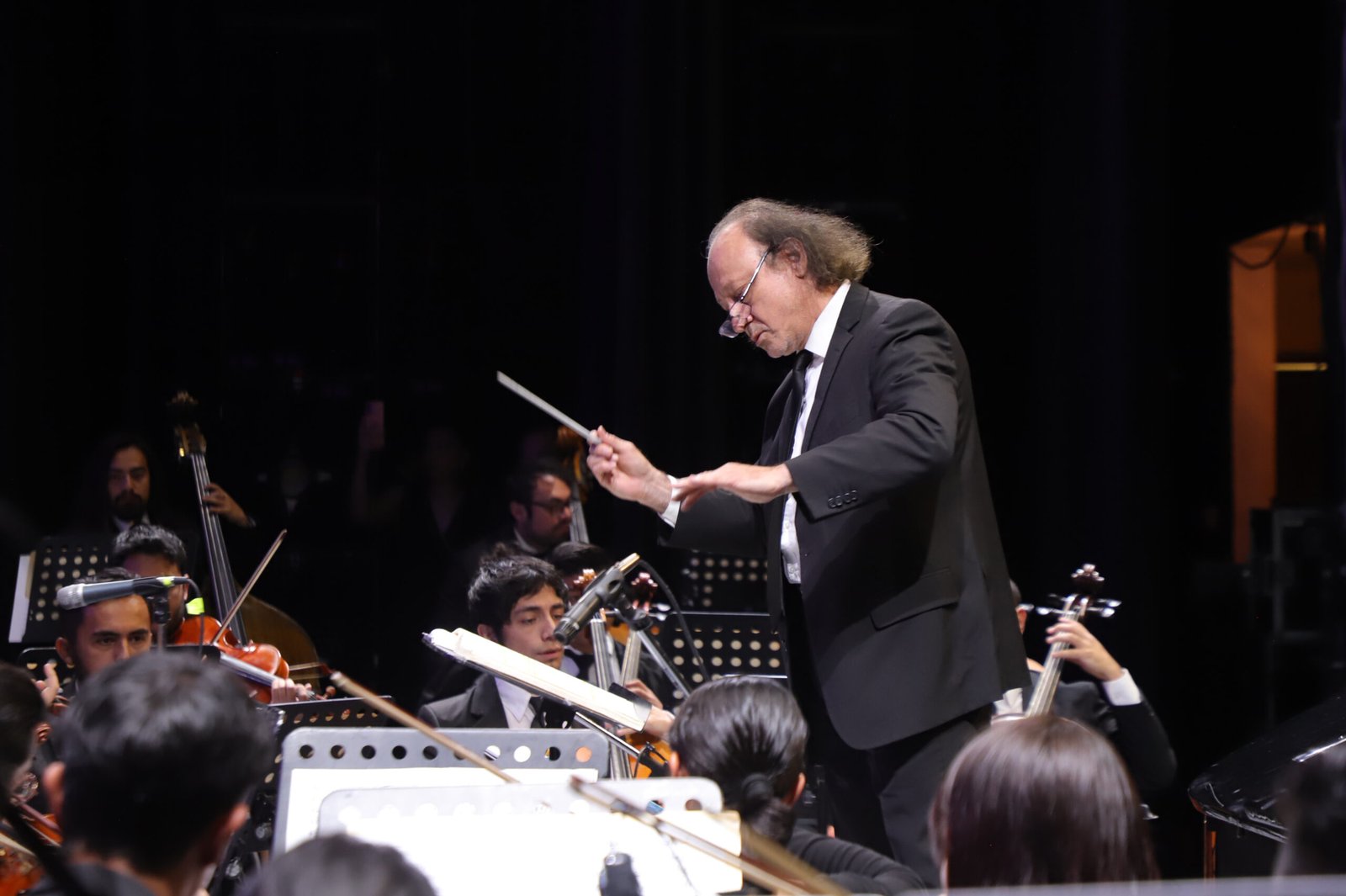 OSEH presentará una velada dedicada a Bruckner, Schickele y Brahms