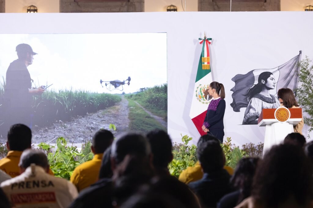 LA JORNADA NACIONAL DE REFORESTACIÓN 2026; SE REALIZARÁ EL PRÓXIMO DOMINGO 9 DE AGOSTO