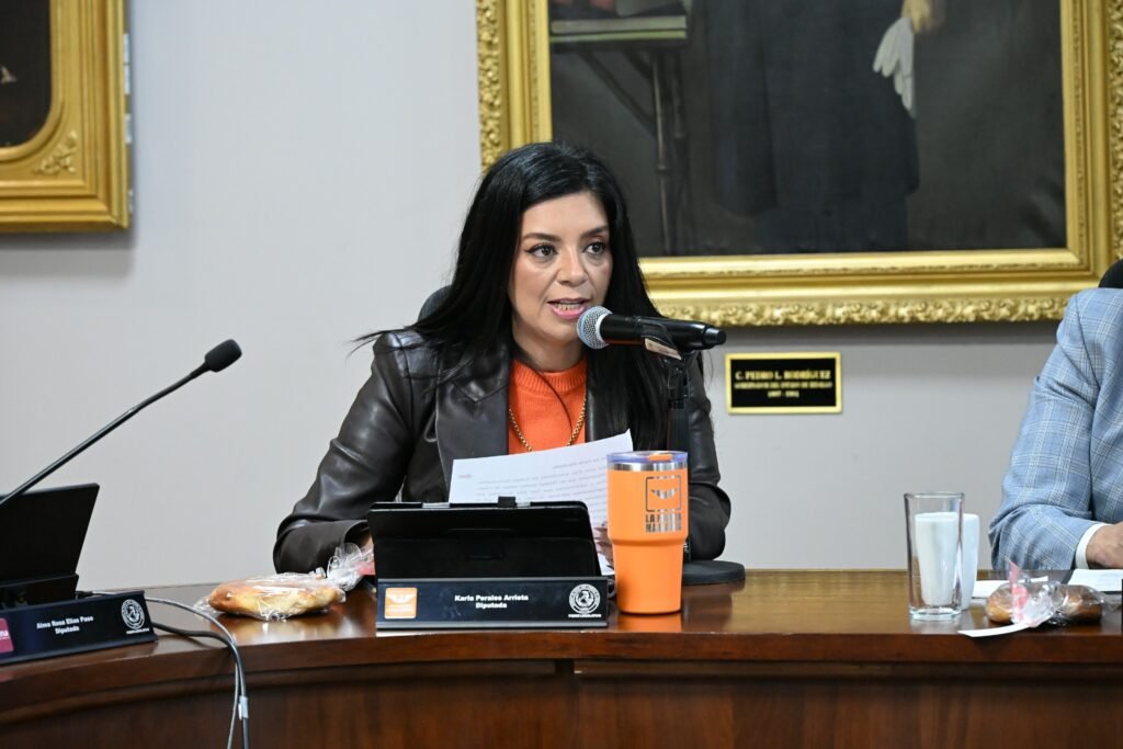 “La niñez no pertenece al crimen”: diputada exige ley contra el reclutamiento de menores por el crimen organizado en Hidalgo