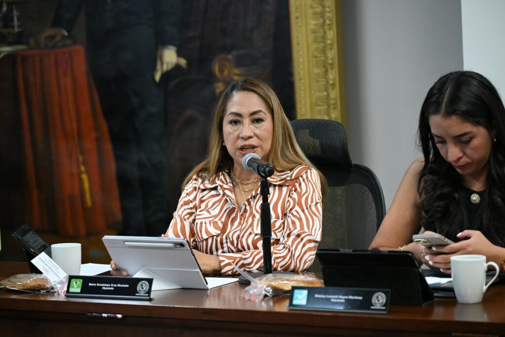 Diputada del Congreso de Hidalgo exhorta a fortalecer la atención gerontológica en la entidad